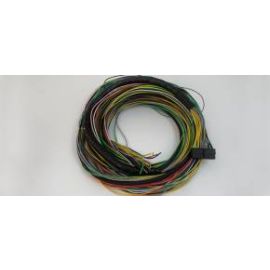 Chicote para FT Racepro1